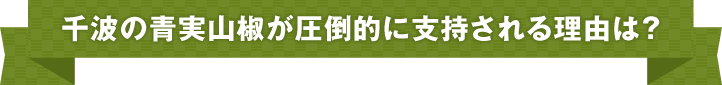 千波の青実山椒が圧倒的に支持される理由は？